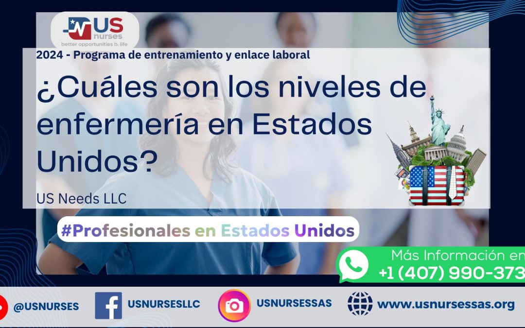 ¿Cuáles son los niveles de enfermería en Estados Unidos?
